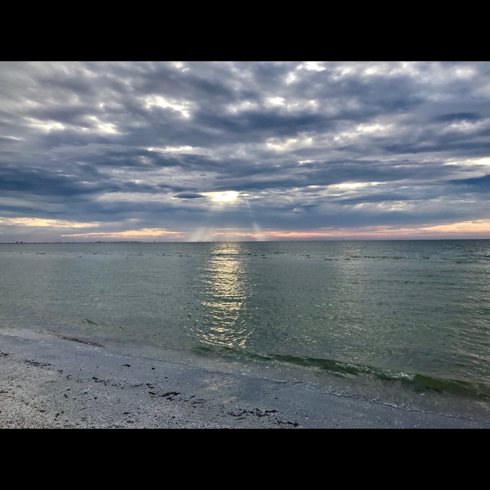 Meet your Posher, Joanna